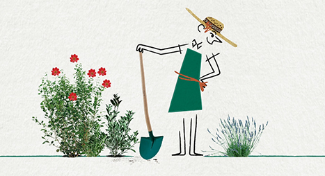 cé. cécile reverdy botanic-illustration-animation motion design -jardinier-recyclage-pots